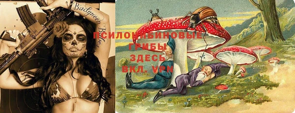ALPHA-PVP Гусев