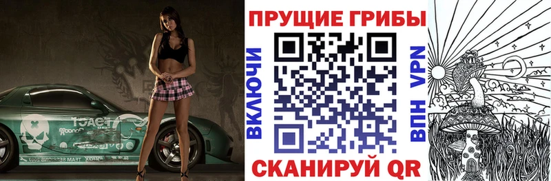 Псилоцибиновые грибы Cubensis Донской