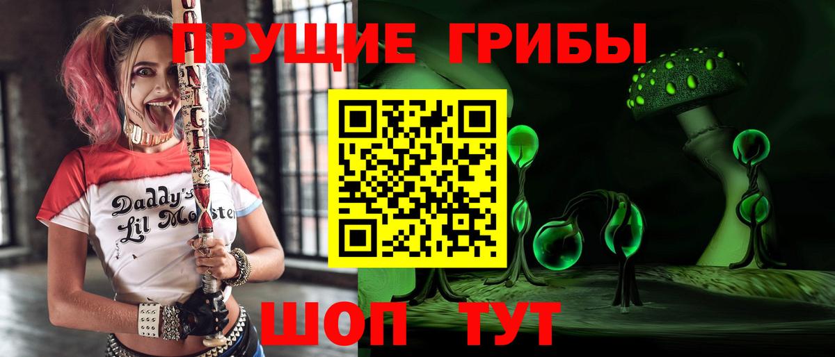 Псилоцибиновые грибы Psilocybine cubensis  Вход с VPN  Донской 
